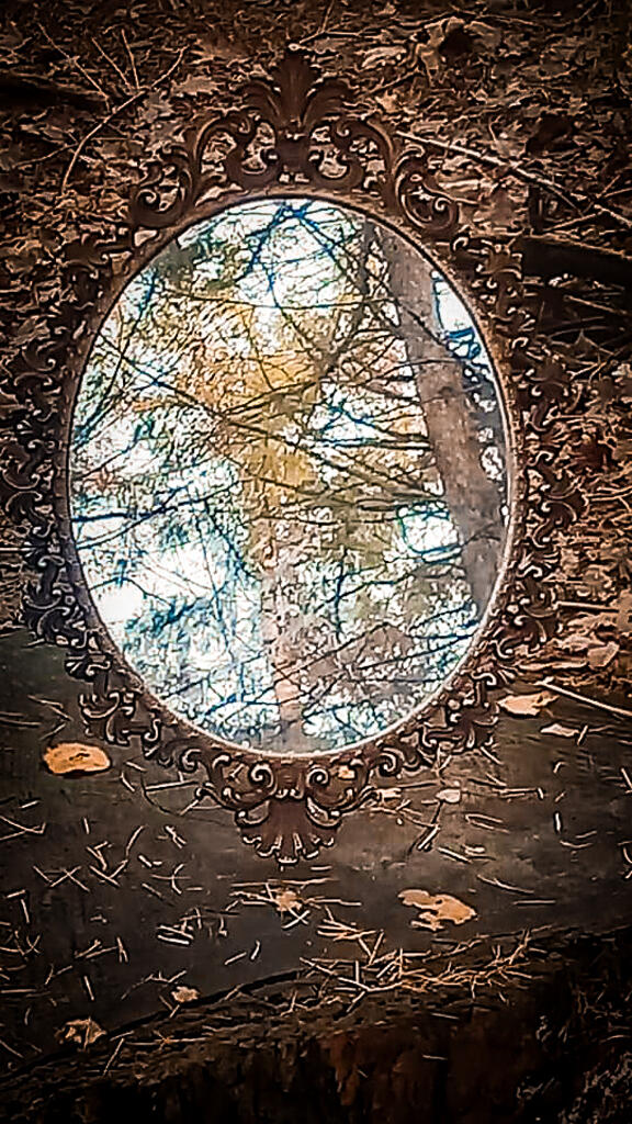 Een uitnodiging om stil te staan bij wat je anders voorbij stapt.